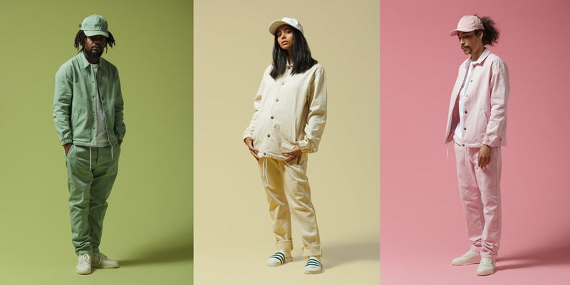 ED-OP: our collaboration with Edwin