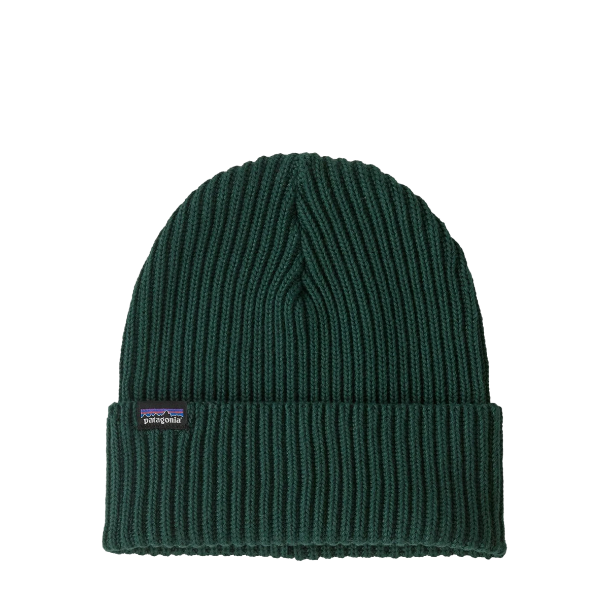 Patagonia Fisherman's Rolled Beanie Cascade Green - View 1