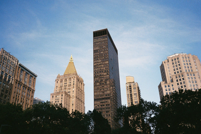 Dispatches From New York