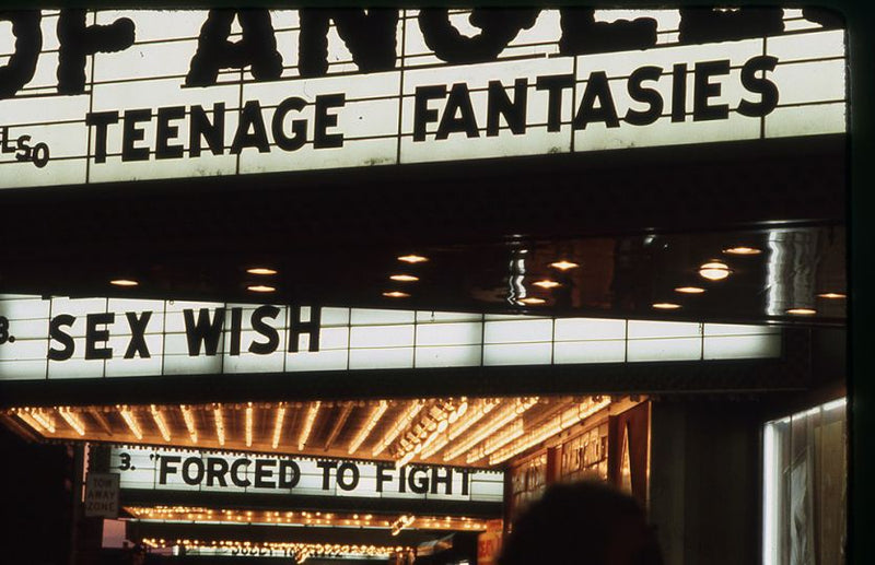 Through the Magpie Eye: Maggie Hopp's Sleazy Snaps of Times Square