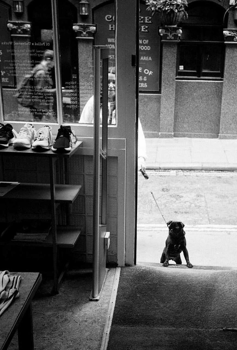 Dispatches from Soho