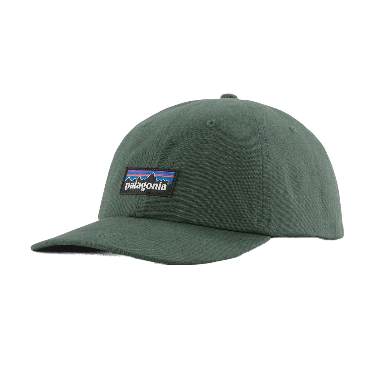 Patagonia P-6 Label Trad Cap Canopy Green - View